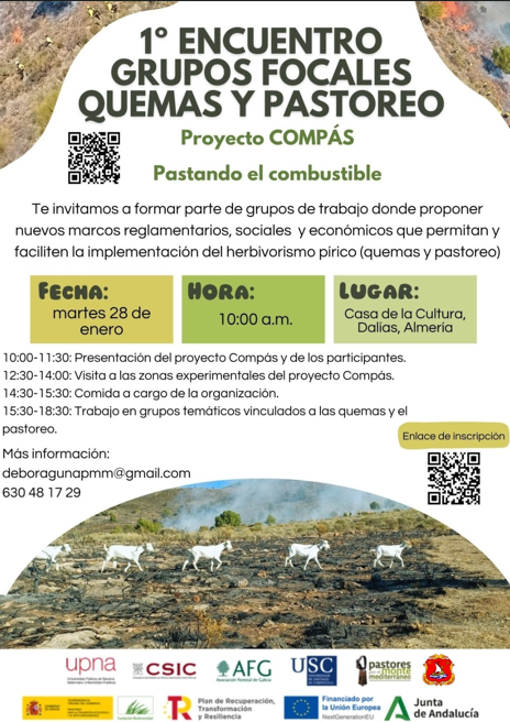 Noticia